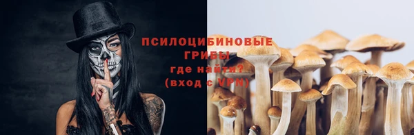 бошки Баксан