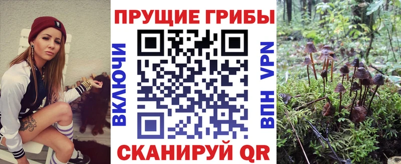 Псилоцибиновые грибы Psilocybine cubensis  Котельниково 