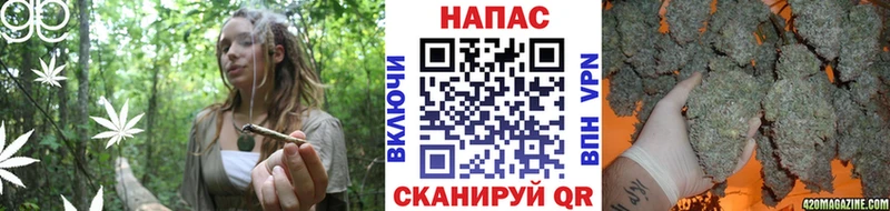 где купить   Котельниково  Каннабис индика 